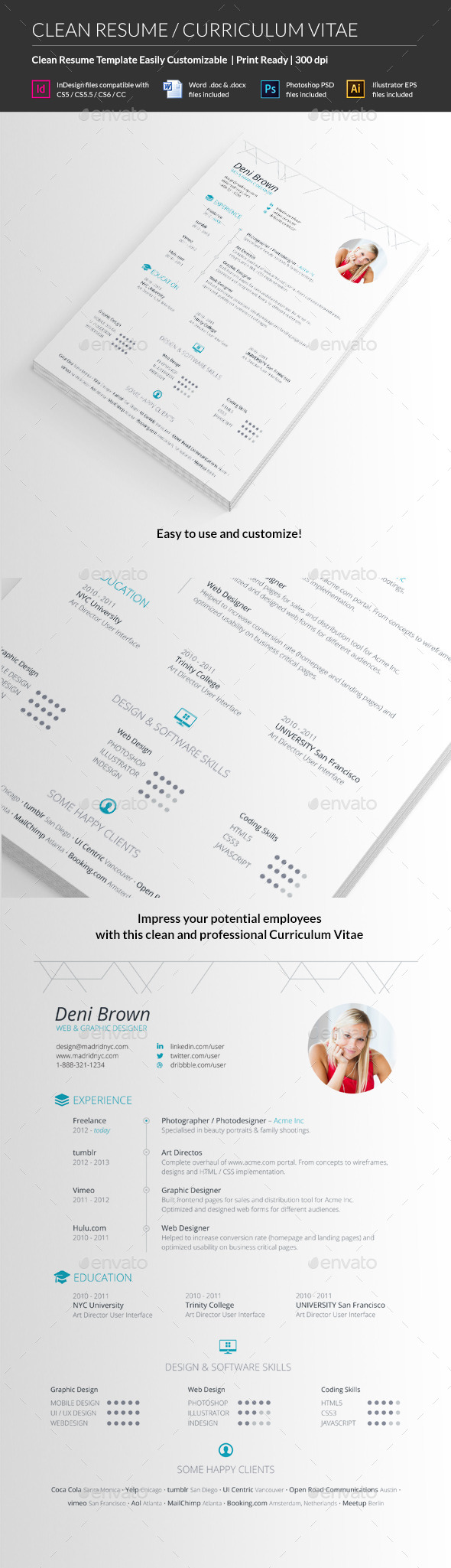 Clean Resume CV