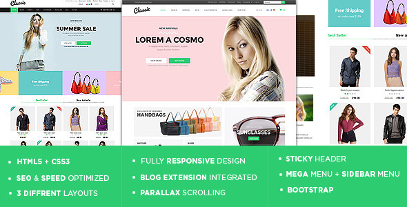 Classic - The Responsive Magento Theme