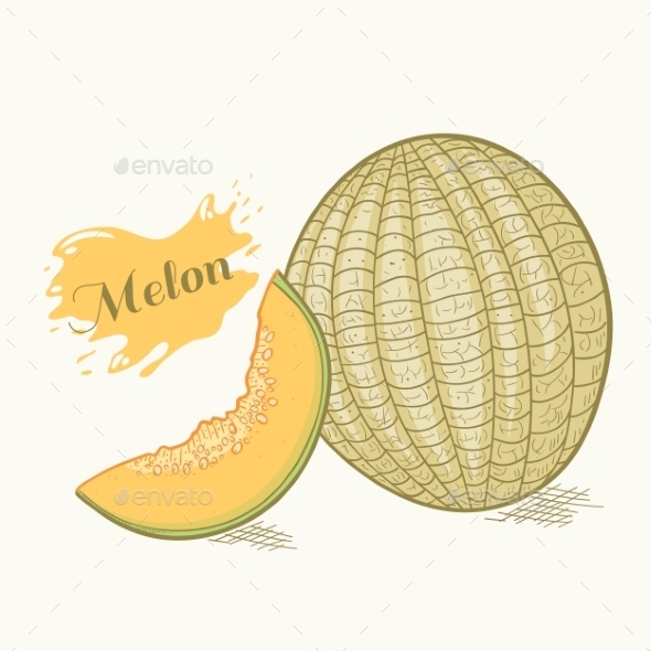 GraphicRiver Hand Drawn Melon 10585246 GraphicRiver Hand Drawn Melon 10585246