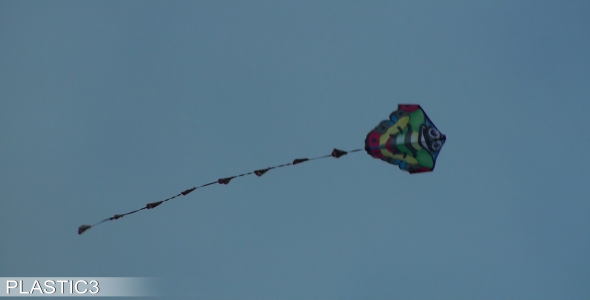 Kite In The Wind Kite In The Wind