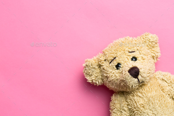 teddy bear on pink background
