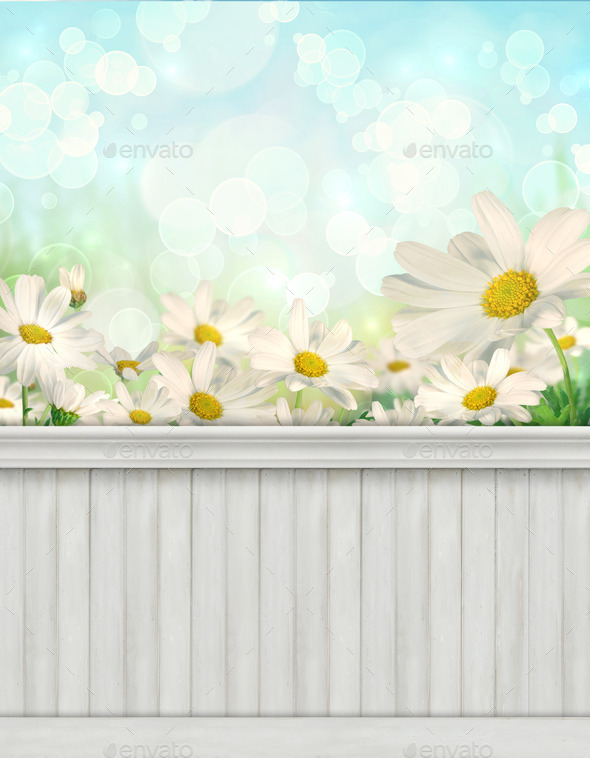 Spring wall background/backdrop (Misc) Photo Download