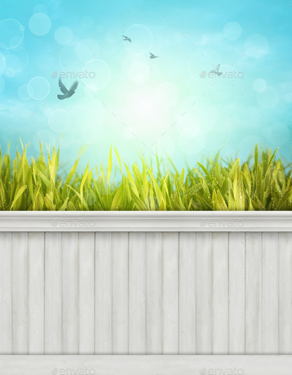 Spring wall background/backdrop (Misc) Photo Download