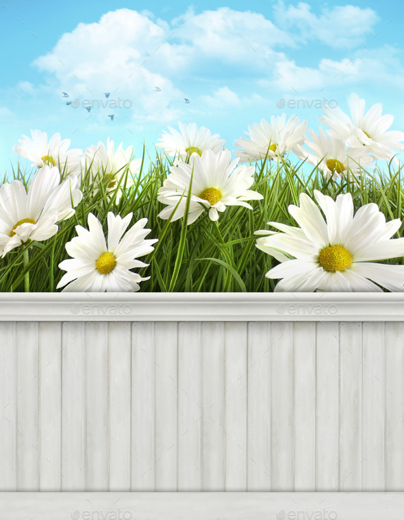 Spring wall background/backdrop (Misc) Photo Download