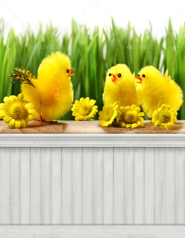 Happy Easter Spring background/backdrop (Misc) Photo Download