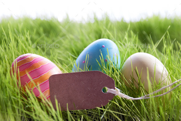 Easter Background With Colorful Easter Eggs And Empty Label (Misc) Photo Download