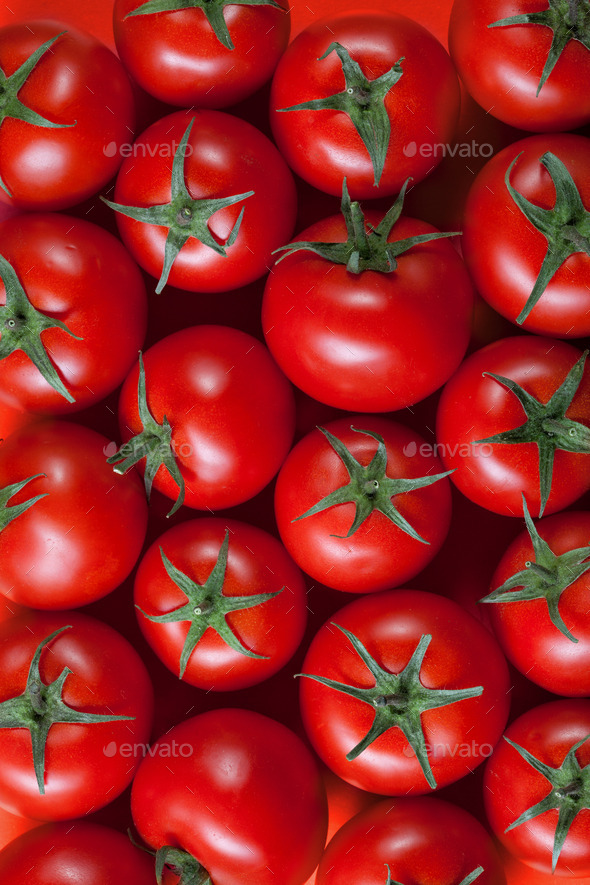 red tomatoes background