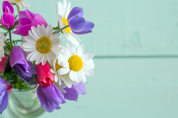 anemone and daisy