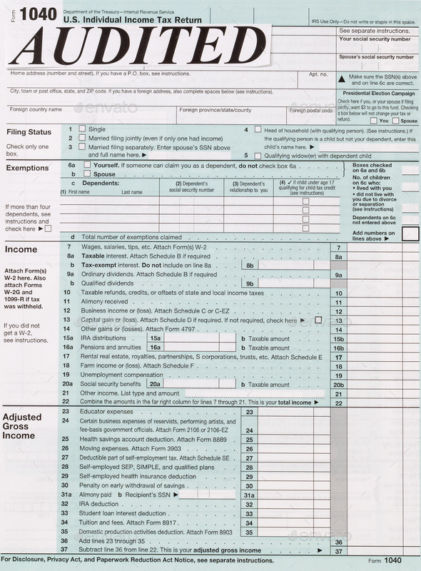 Tax Audit on Individual income form