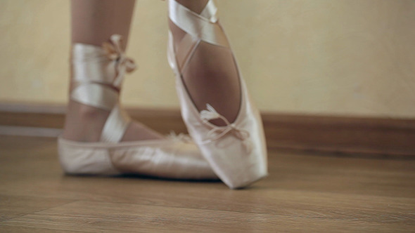 Women Ballet Shoes 05 Women Ballet Shoes 05