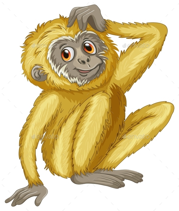 GraphicRiver Gibbon 10625985 GraphicRiver Gibbon 10625985