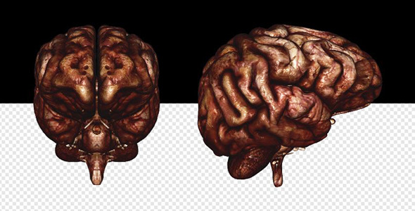 Brain Bloody Brain Bloody