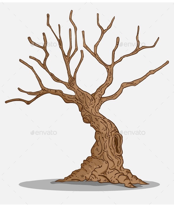 GraphicRiver Isolated Tree 10642570 GraphicRiver Isolated Tree 10642570