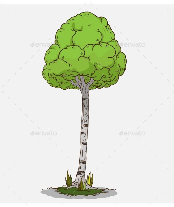 GraphicRiver Isolated Tree 10643221 GraphicRiver Isolated Tree 10643221