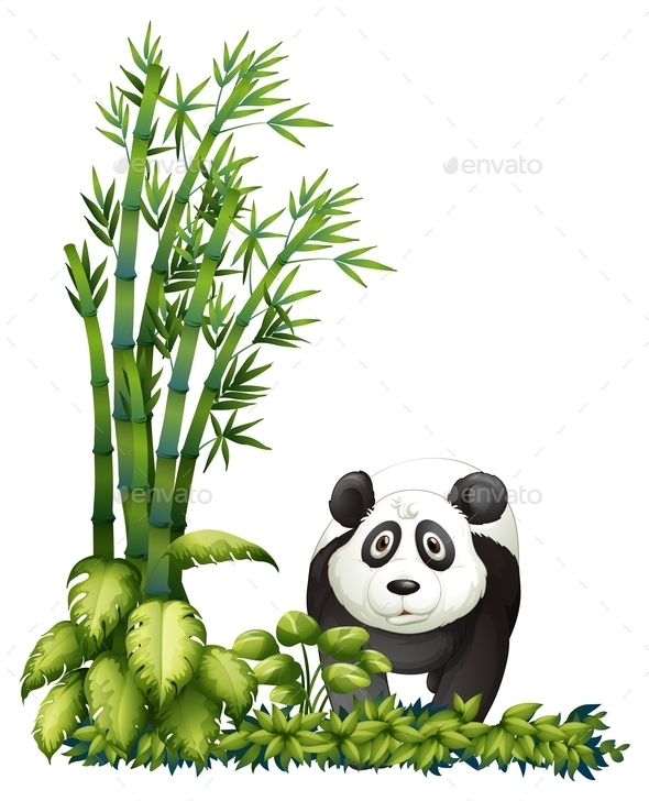 GraphicRiver A Panda 10654871 GraphicRiver A Panda 10654871
