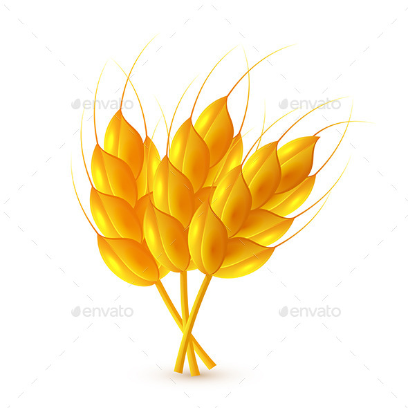 GraphicRiver Bunch of Wheat Ears 10665515 GraphicRiver Bunch of Wheat Ears 10665515