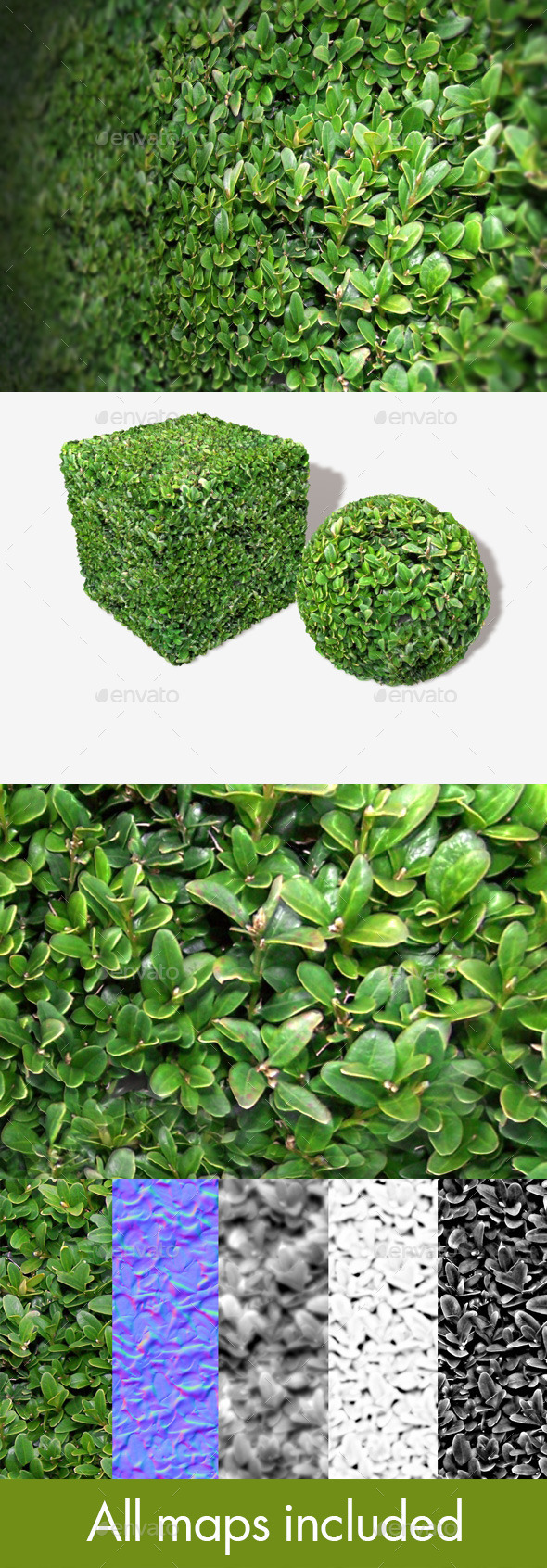 3DOcean Shrub Seamless Texture 10678983 3DOcean Shrub Seamless Texture 10678983