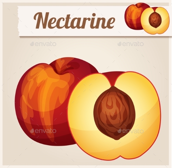GraphicRiver Nectarine Detailed Vector Icon 10685094 GraphicRiver Nectarine Detailed Vector Icon 10685094