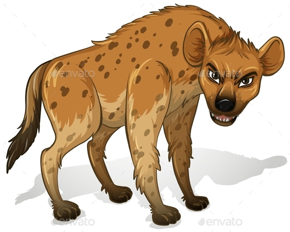 GraphicRiver Hyena 10688327 GraphicRiver Hyena 10688327