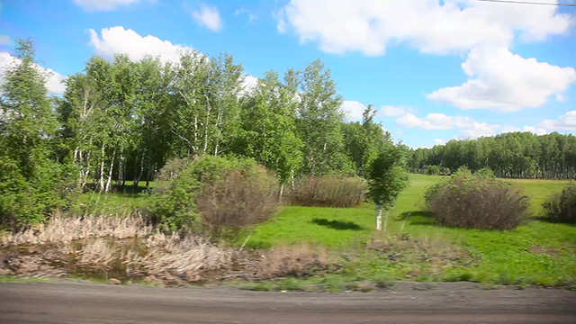 From train From train