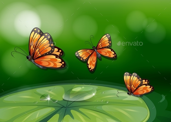 GraphicRiver Butterflies and Water Lily 10695834 GraphicRiver Butterflies and Water Lily 10695834