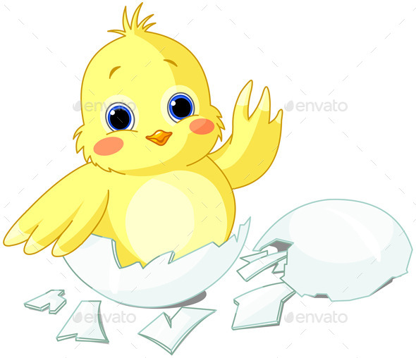 GraphicRiver Chicken 10713722 GraphicRiver Chicken 10713722