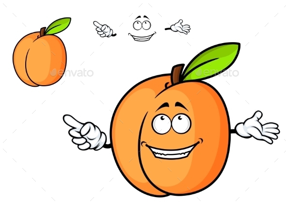 GraphicRiver Cartoon Apricot 10714022 GraphicRiver Cartoon Apricot 10714022