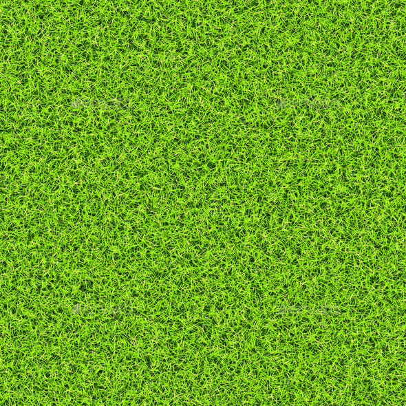 Green grass background texture (Misc) Photo Download