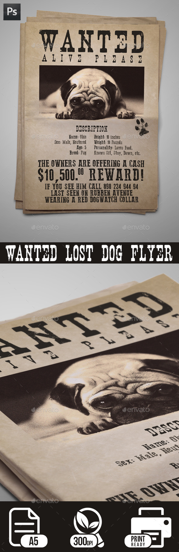 Medieval Wanted Poster