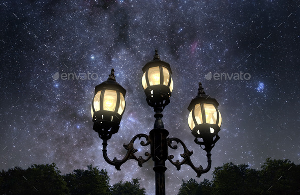 Night in the Park (Misc) Photo Download