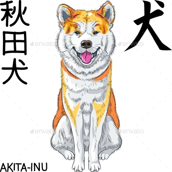 GraphicRiver Akita Inu Japanese Breed Dog 10736597 GraphicRiver Akita Inu Japanese Breed Dog 10736597