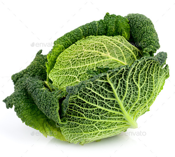 Savoy Cabbage On White (Misc) Photo Download