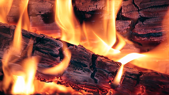 Flames Flames
