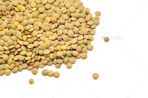 lentil (Misc) Photo Download