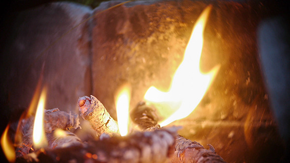 Nightly Campfire Nightly Campfire
