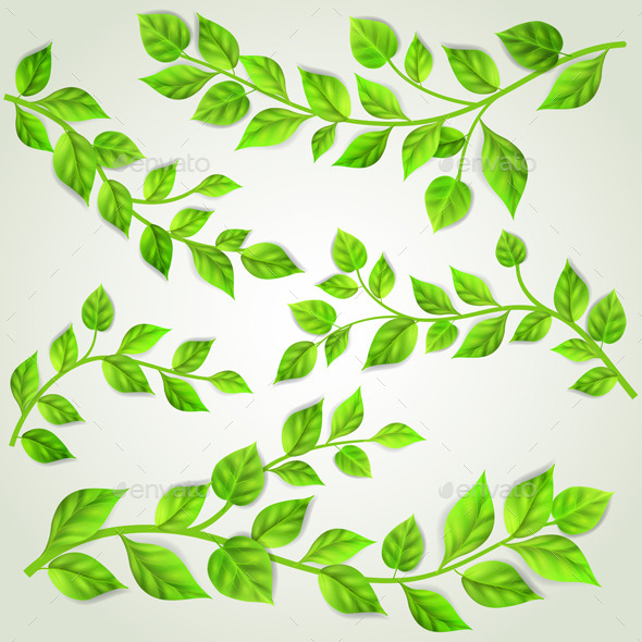 GraphicRiver Set of Branches With Green Leaves 10780605 GraphicRiver Set of Branches With Green Leaves 10780605