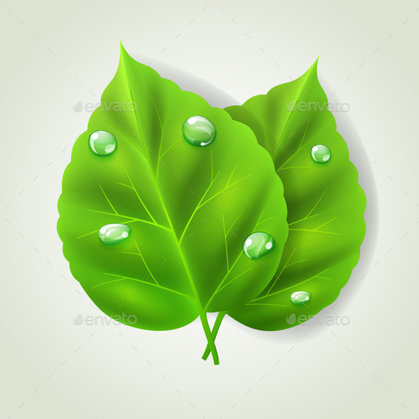 GraphicRiver Two Green Leaves 10780615 GraphicRiver Two Green Leaves 10780615