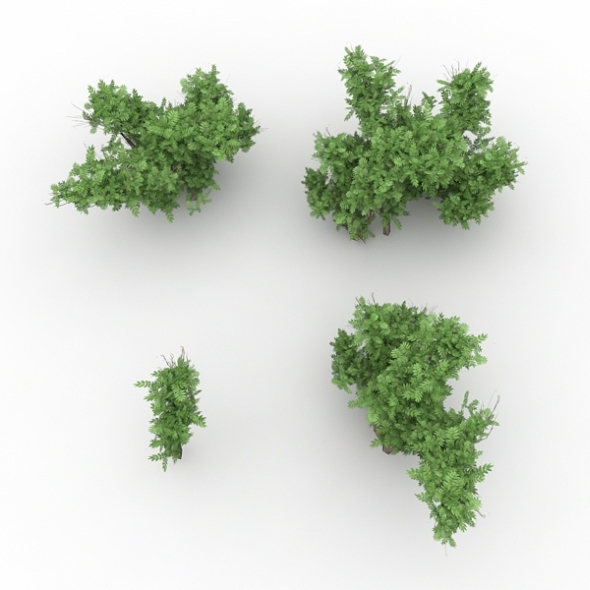 3DOcean Low Poly Bush Pack 10784185 3DOcean Low Poly Bush Pack 10784185