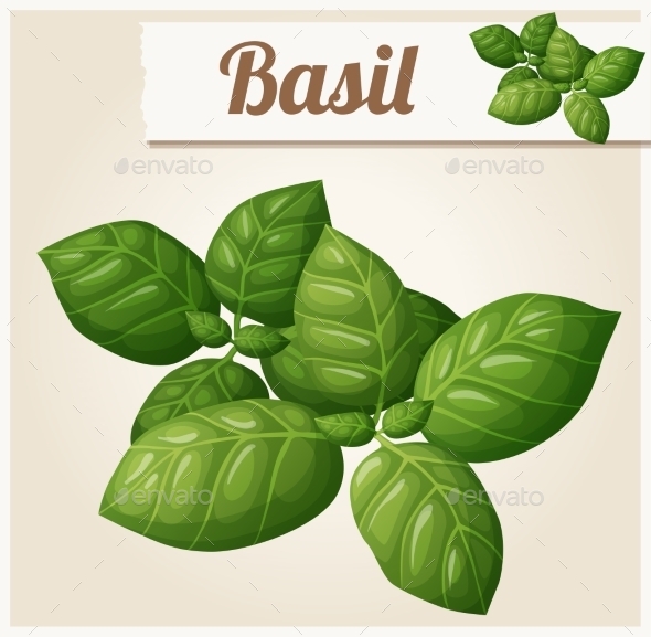 GraphicRiver Basil Leaves 10785875 GraphicRiver Basil Leaves 10785875