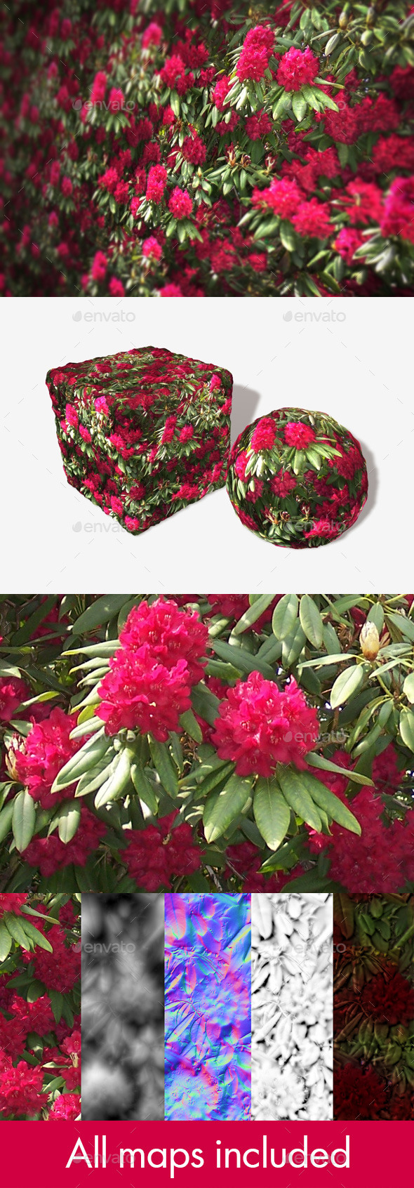 3DOcean Red Blossom Seamless Texture 10787727 3DOcean Red Blossom Seamless Texture 10787727
