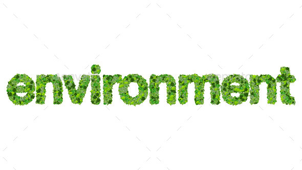 Word environment made from green leaves on gradient background. (Misc) Photo Download