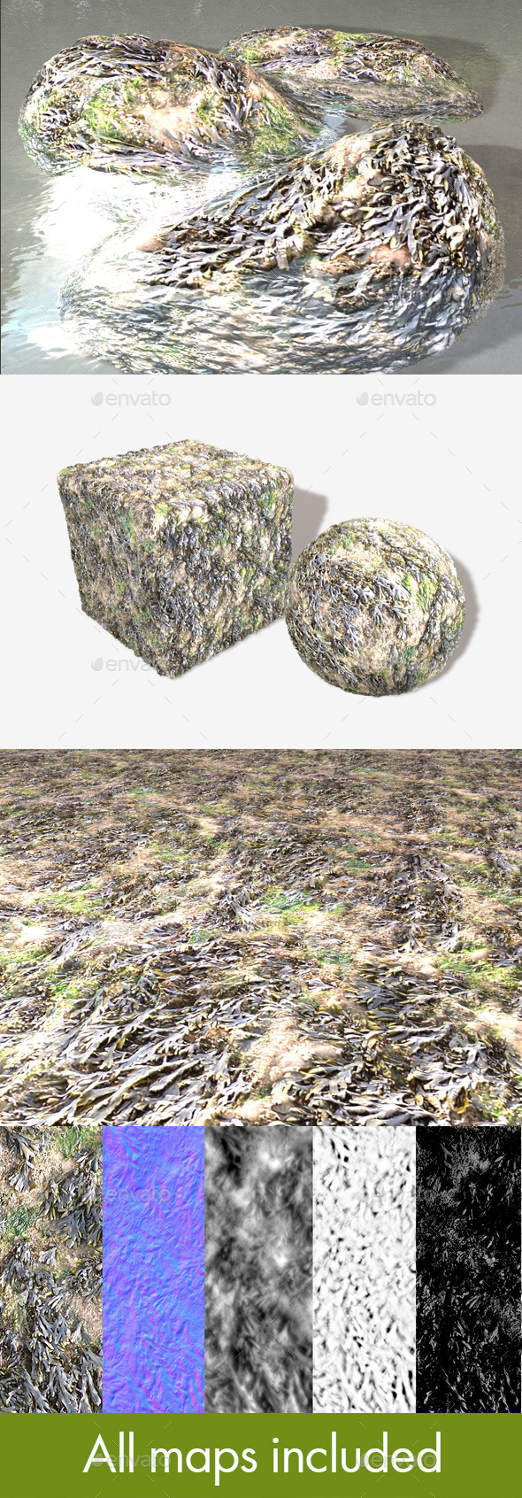 3DOcean Seaweed Seamless Texture 10796649 3DOcean Seaweed Seamless Texture 10796649