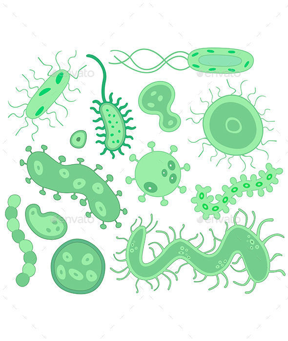 GraphicRiver Bacteria and Virus 10797761 GraphicRiver Bacteria and Virus 10797761