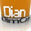 the_didko