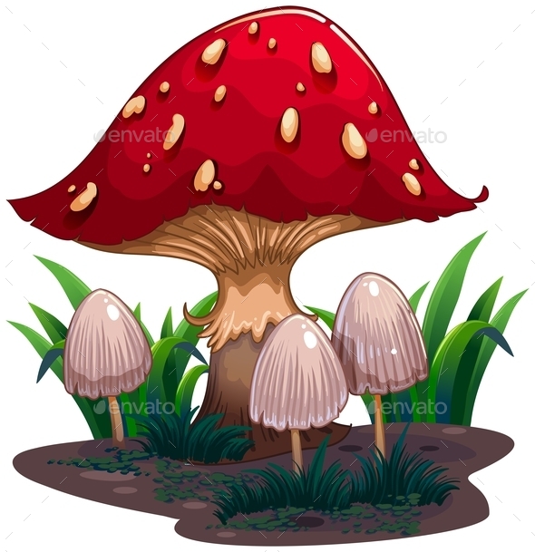GraphicRiver Mushroom 10818632 GraphicRiver Mushroom 10818632