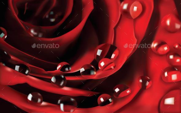 GraphicRiver Rose 10820414 GraphicRiver Rose 10820414