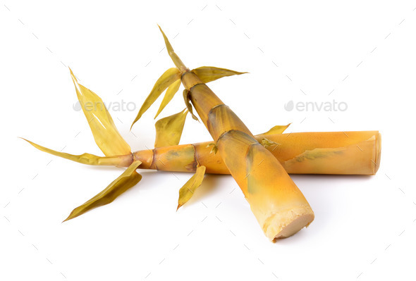 Bamboo shoot on white background (Misc) Photo Download