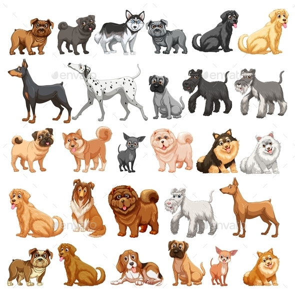 GraphicRiver Dog Collection 10828030 GraphicRiver Dog Collection 10828030