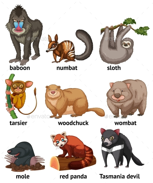 GraphicRiver Animal 10828109 GraphicRiver Animal 10828109