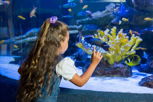 Little girl looking at fish tank at the aquarium (Misc) Photo Download